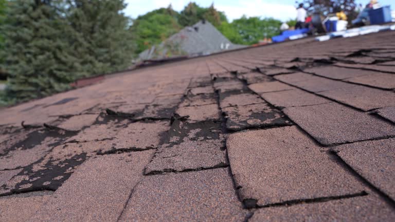 Asphalt Shingles Roofing